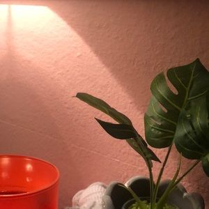 Meet your Posher, Evelyn